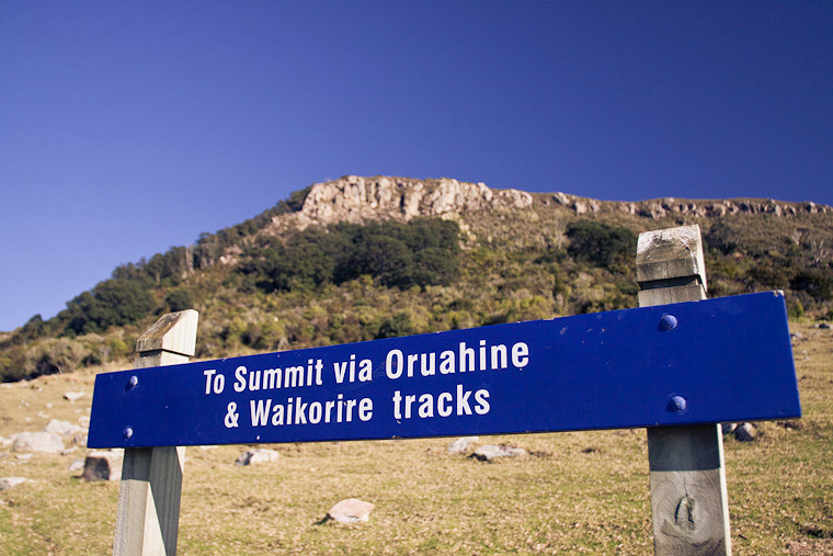 Hiking Up Mount Maunganui